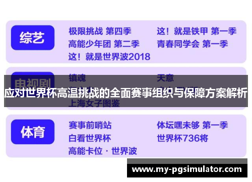 应对世界杯高温挑战的全面赛事组织与保障方案解析