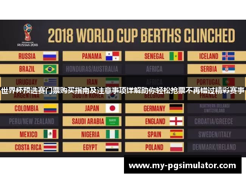世界杯预选赛门票购买指南及注意事项详解助你轻松抢票不再错过精彩赛事