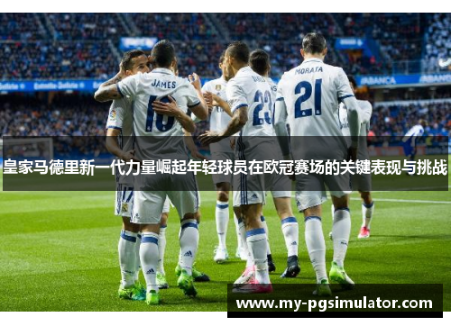 皇家马德里新一代力量崛起年轻球员在欧冠赛场的关键表现与挑战
