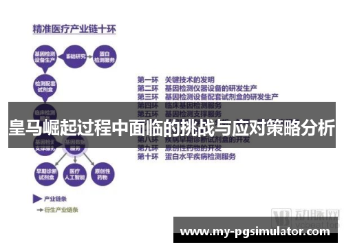 皇马崛起过程中面临的挑战与应对策略分析