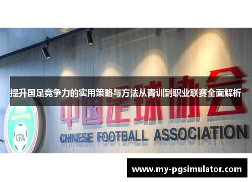 提升国足竞争力的实用策略与方法从青训到职业联赛全面解析