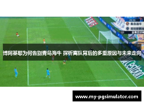 博阿基耶为何告别青岛海牛 探析离队背后的多重原因与未来走向