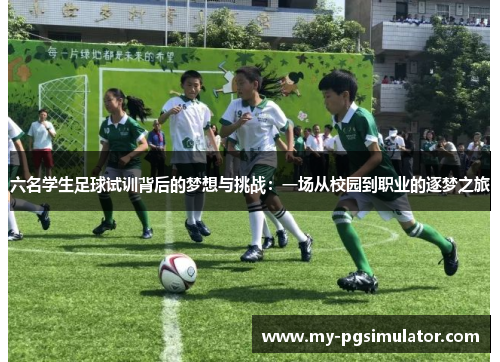 六名学生足球试训背后的梦想与挑战：一场从校园到职业的逐梦之旅