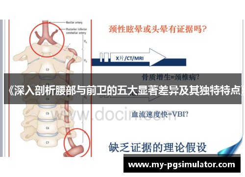 《深入剖析腰部与前卫的五大显著差异及其独特特点》